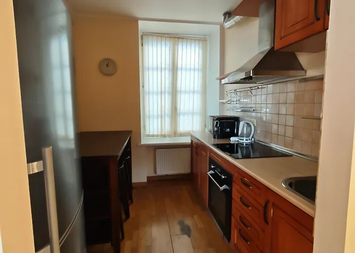 Old Town 公寓 塔林